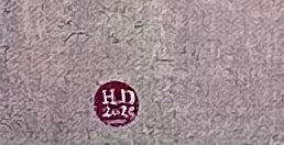 Echo of the Mammoth, 2025