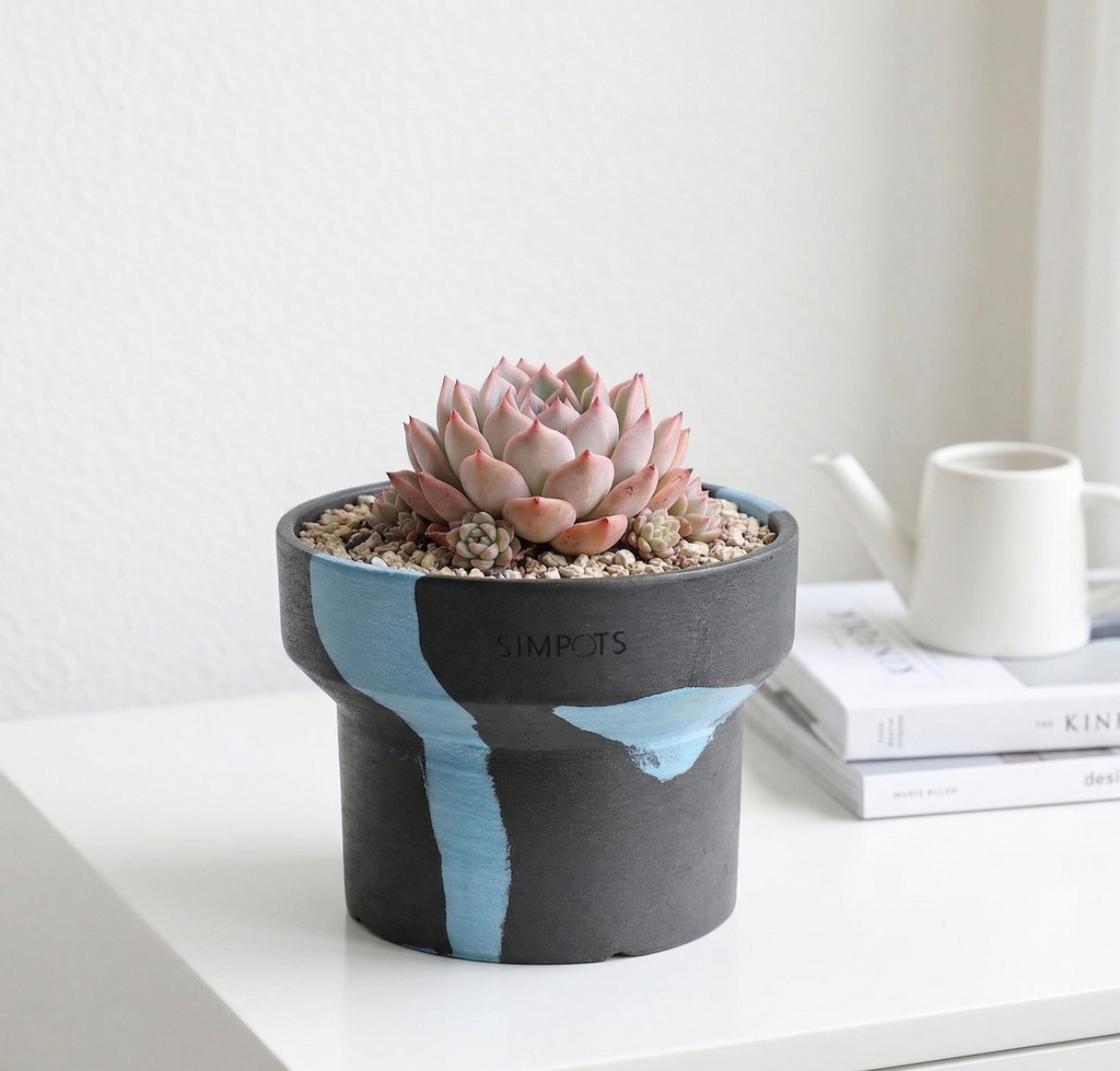 Flow Within: One-of-a-Kind Stone Planter (Large)