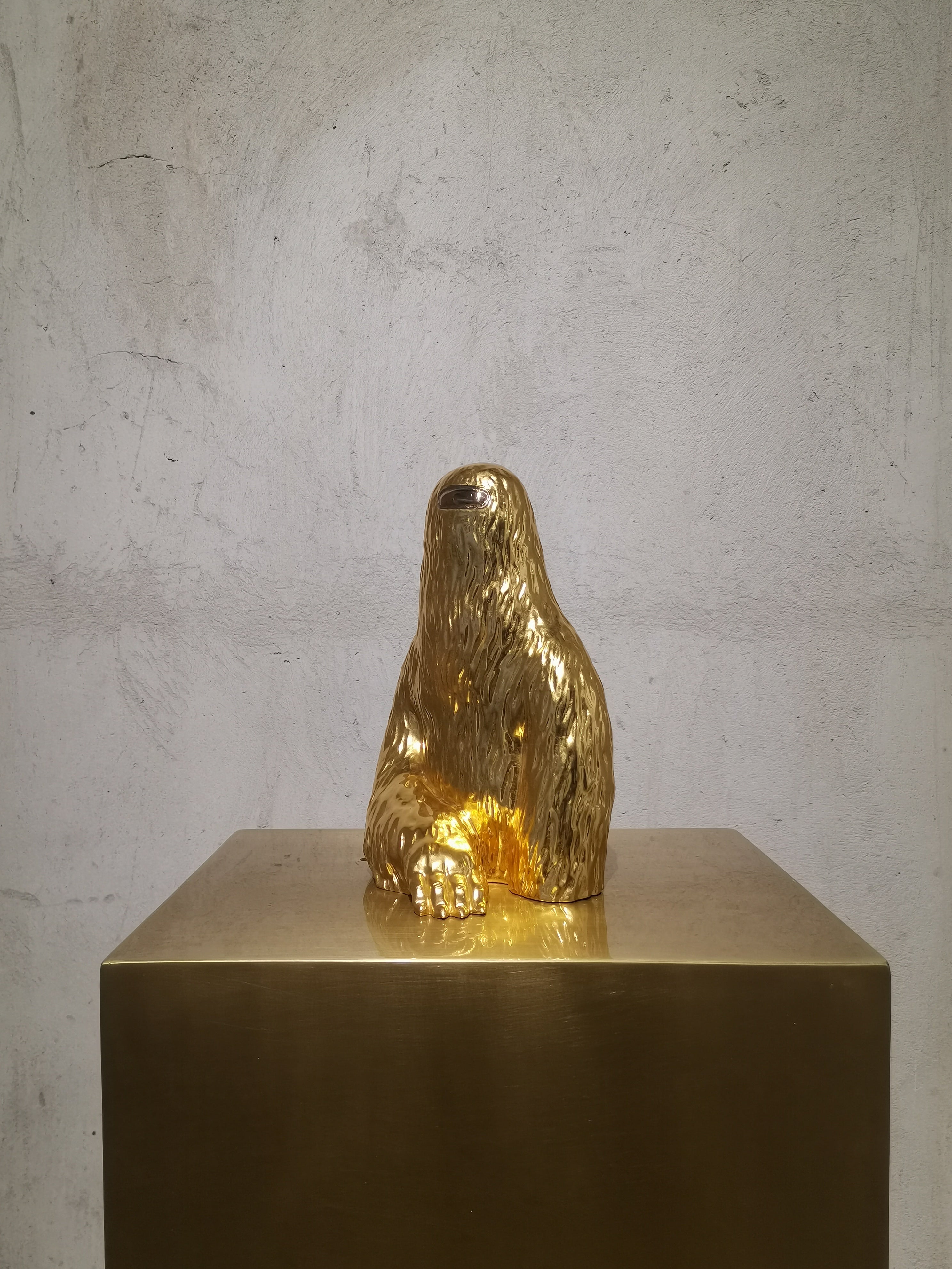 Dyvana: The Enigma, 2020