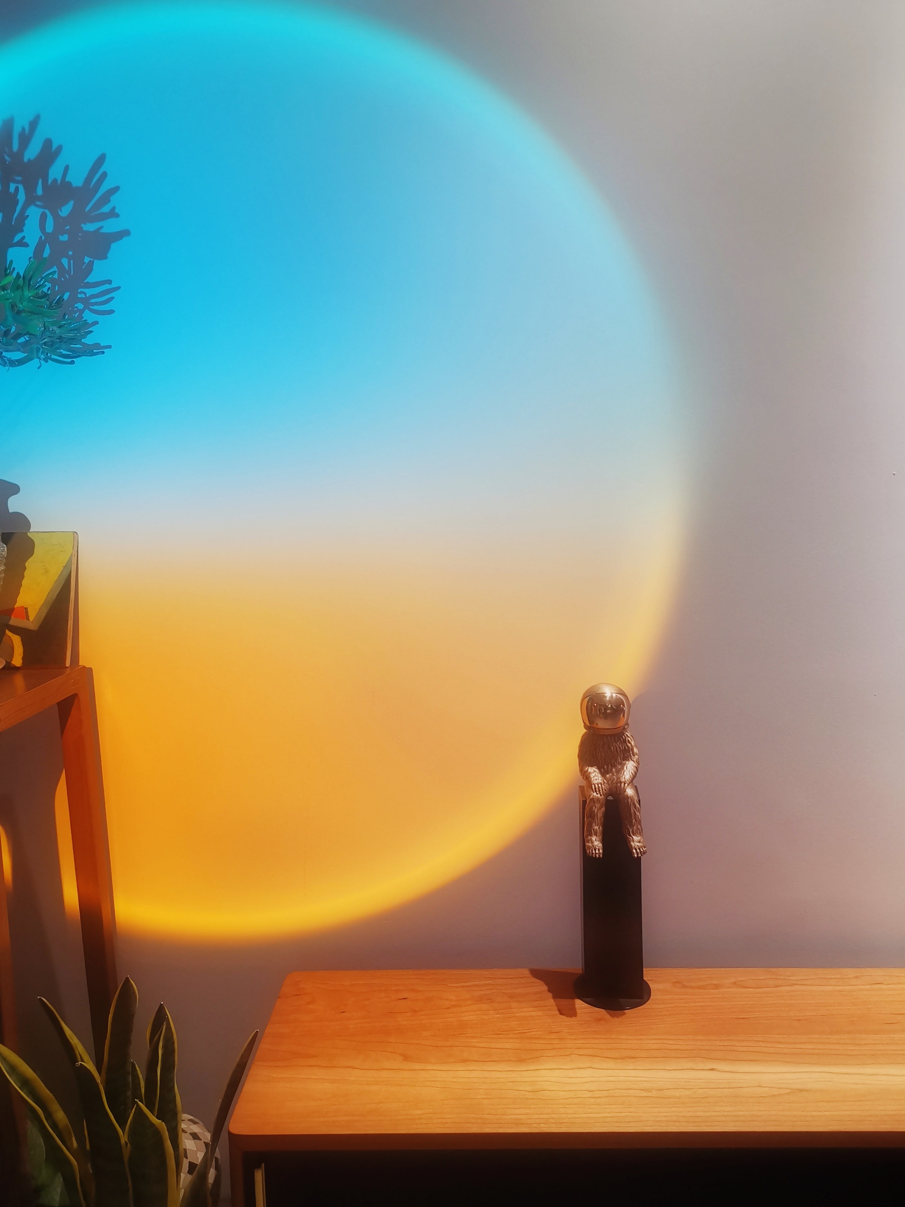 The Answer (Small Edition), 2022