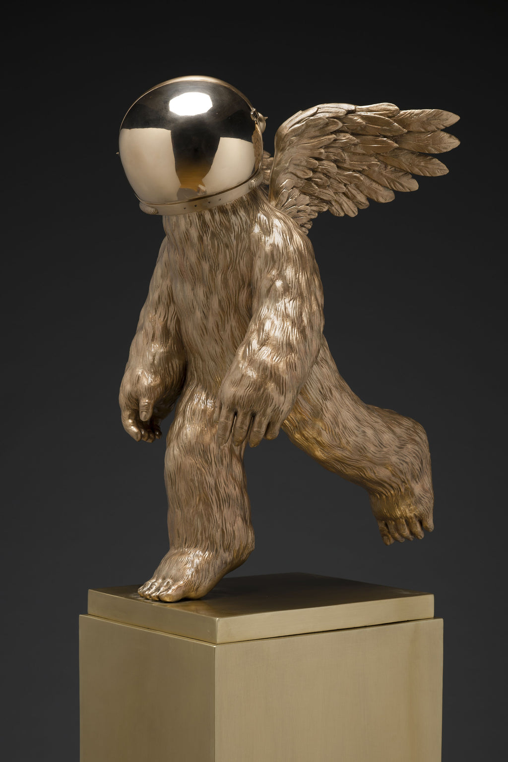 Leap into the Unknown, 2022