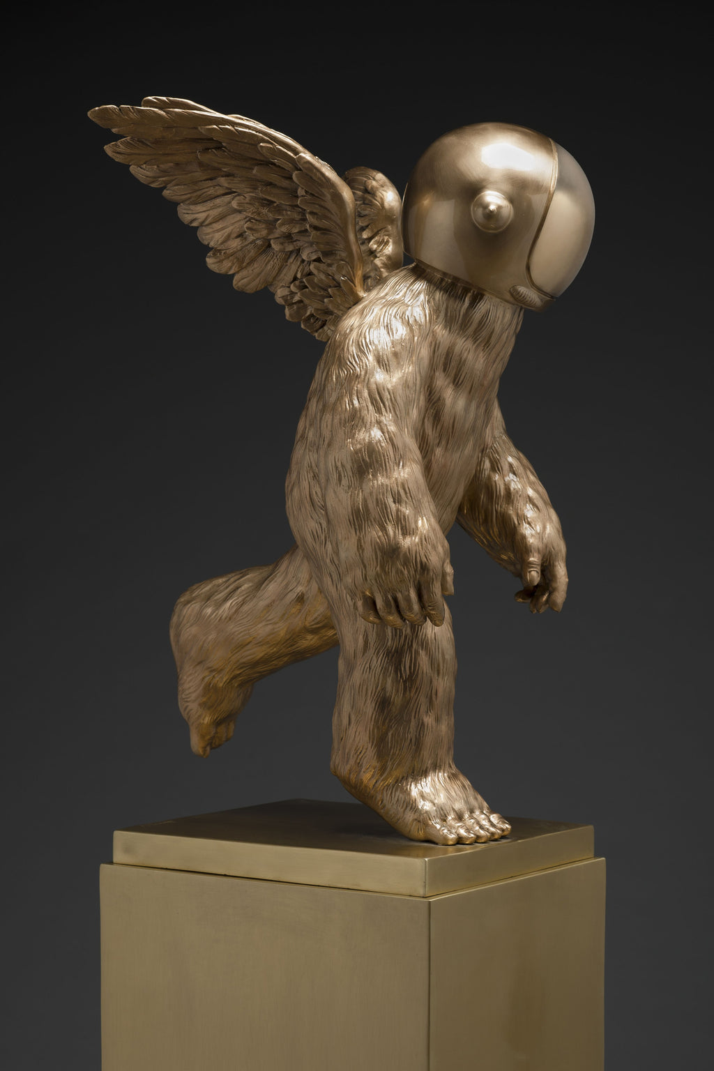 Leap into the Unknown, 2022