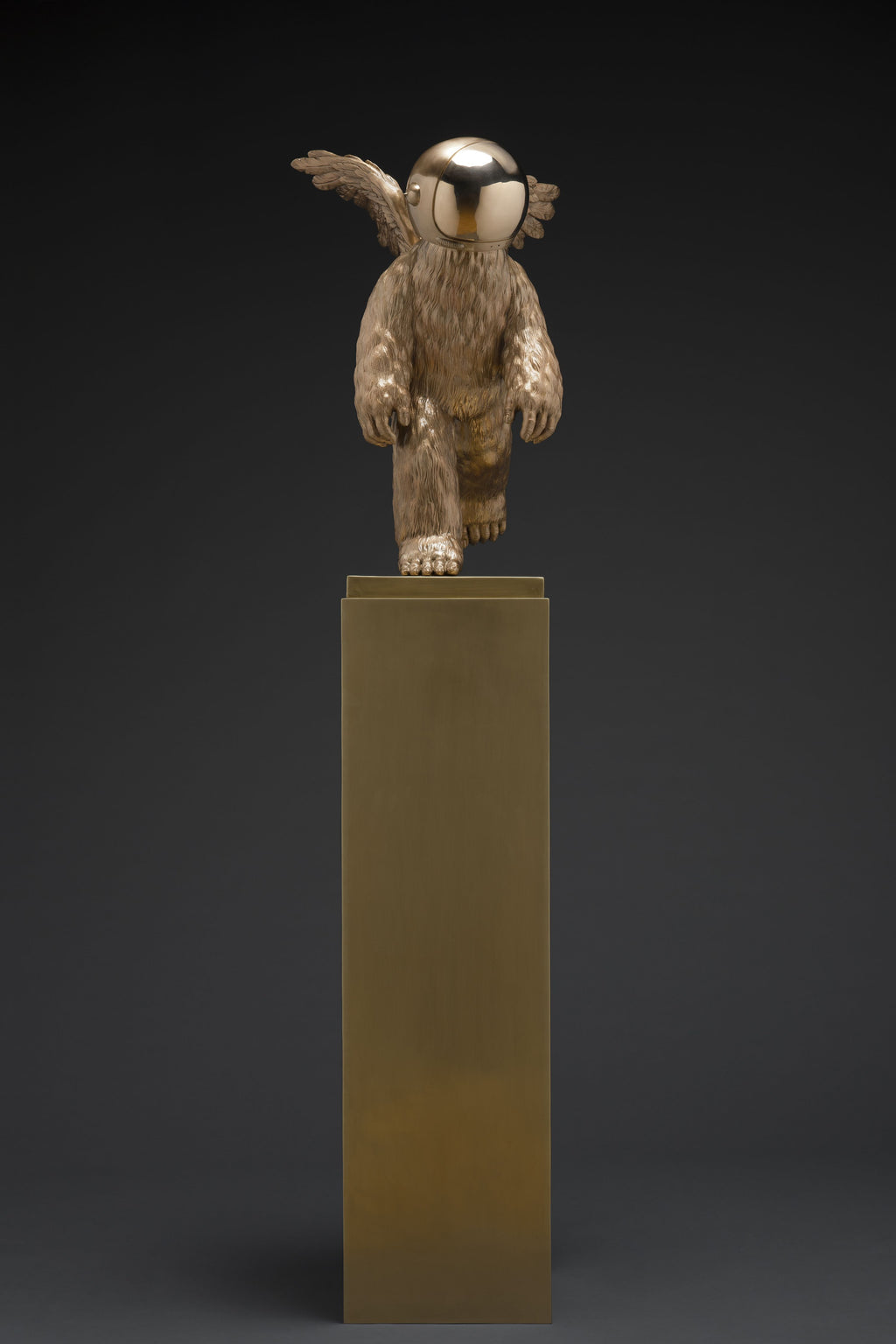 Leap into the Unknown, 2022