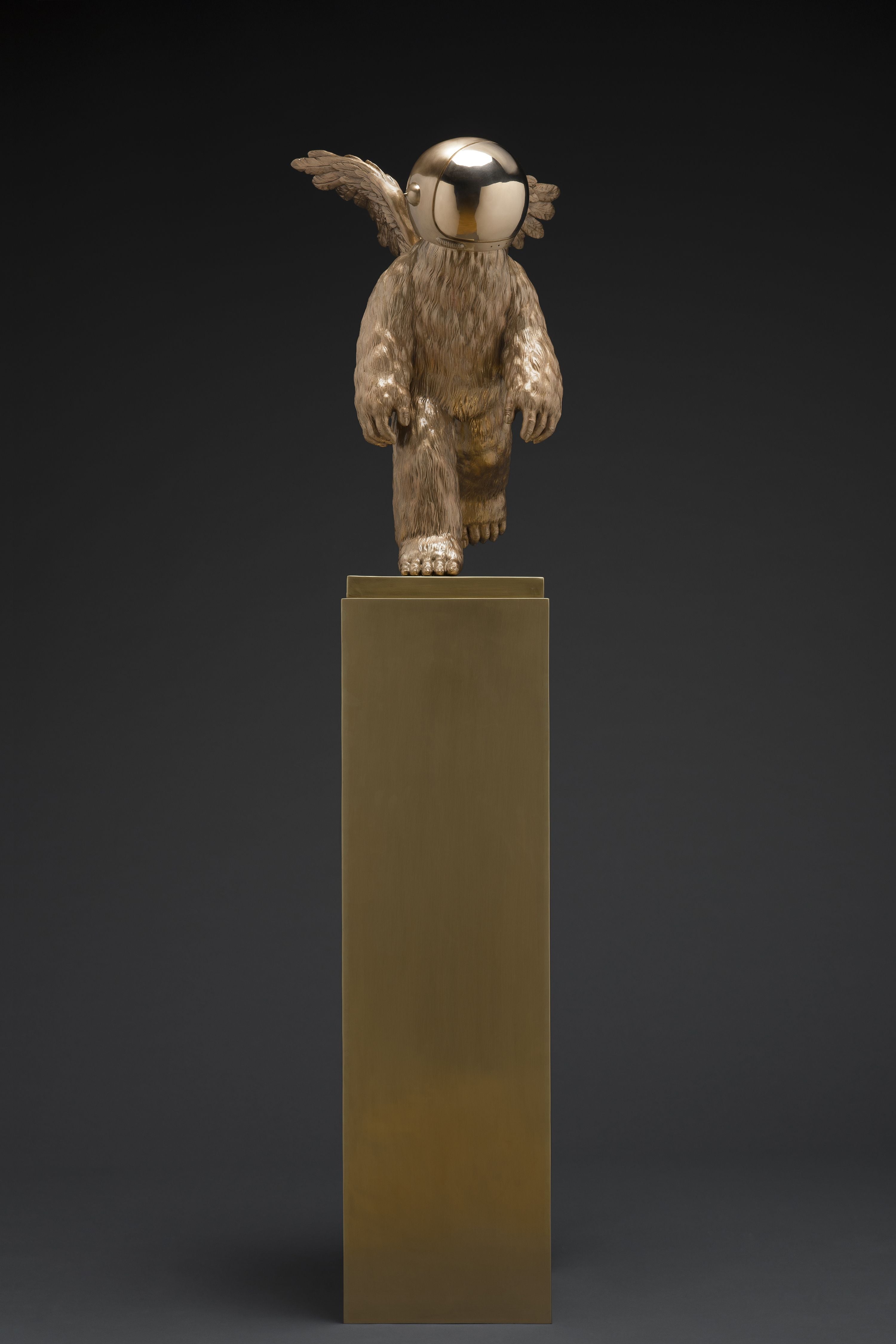 Leap into the Unknown, 2022