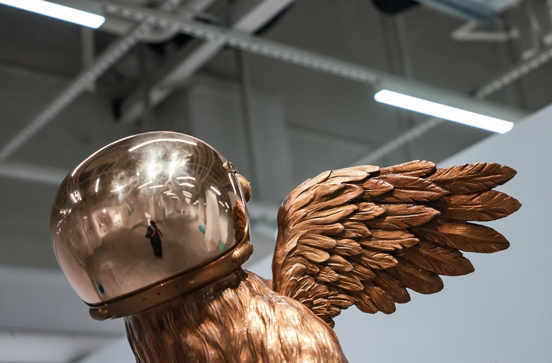 Leap into the Unknown, 2022