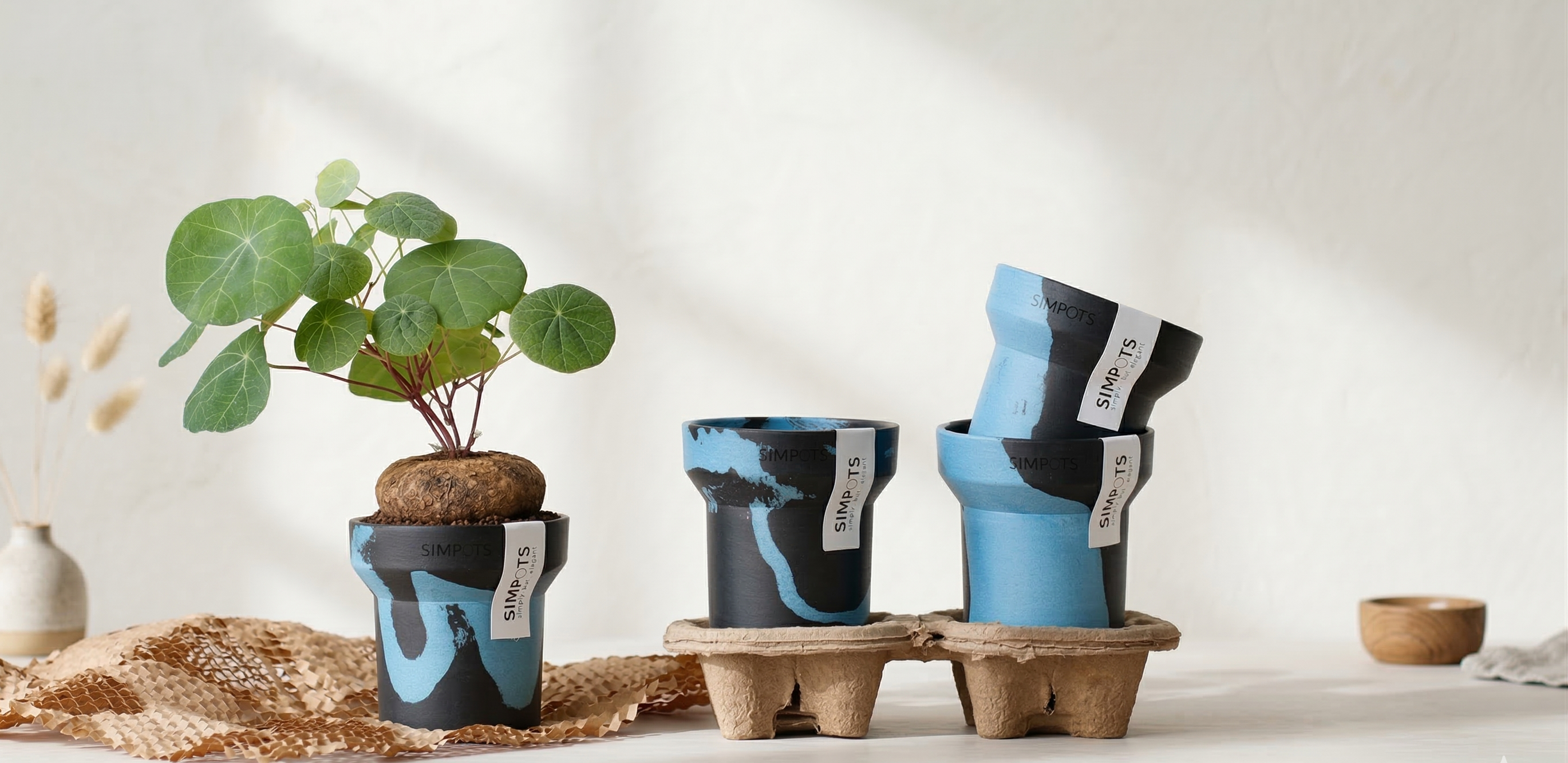 Flow Within: One-of-a-Kind Stone Planter (Small)