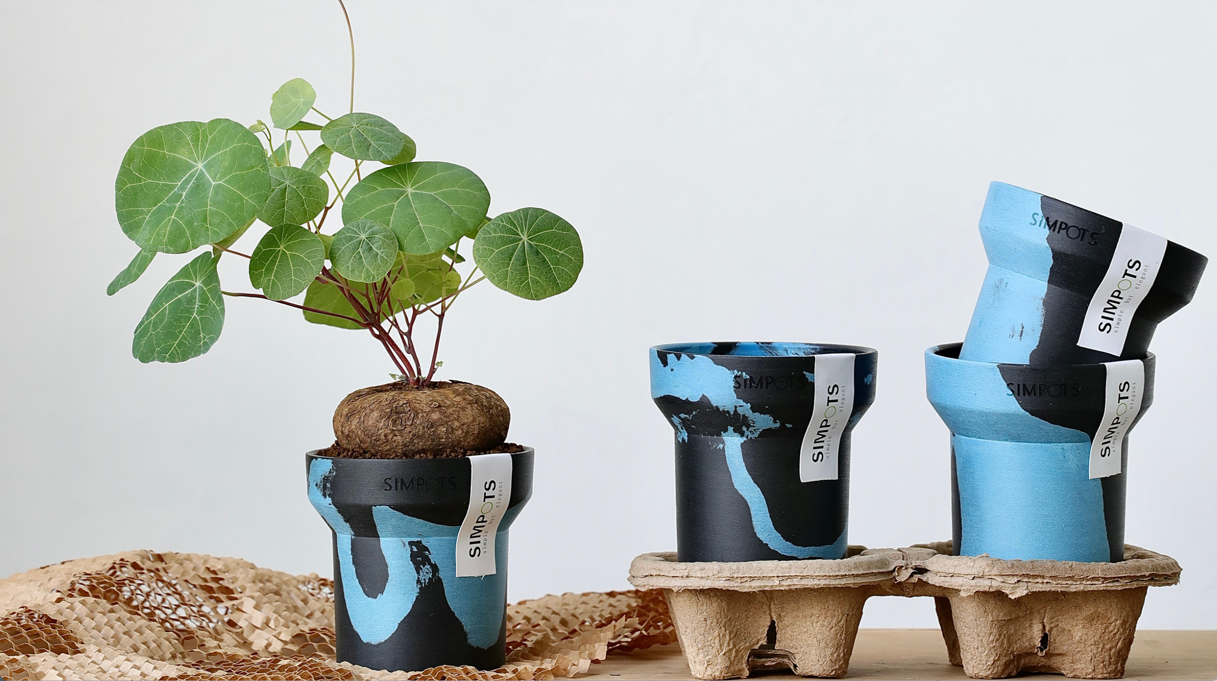 Flow Within: One-of-a-Kind Stone Planter (Small)