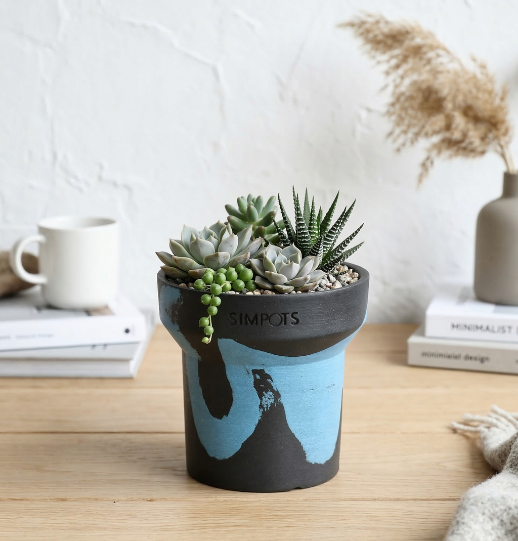 Flow Within: One-of-a-Kind Stone Planter (Small)