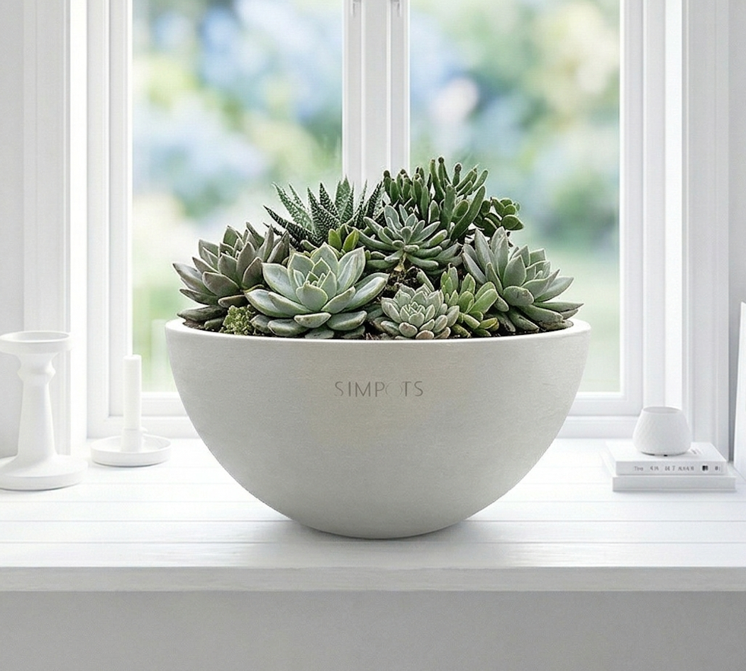 The Orb Sculptural Planter (White)