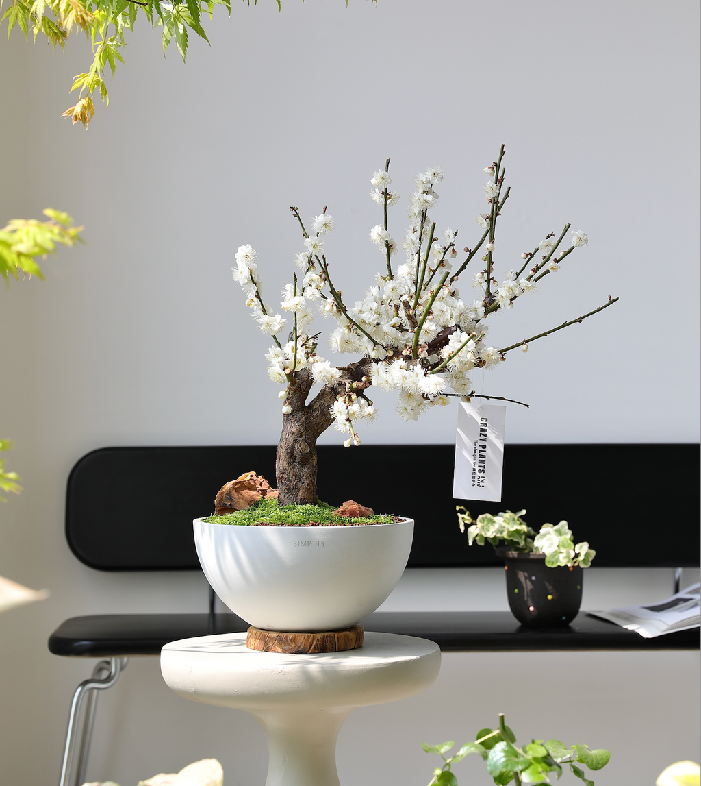 The Orb Sculptural Planter (White)