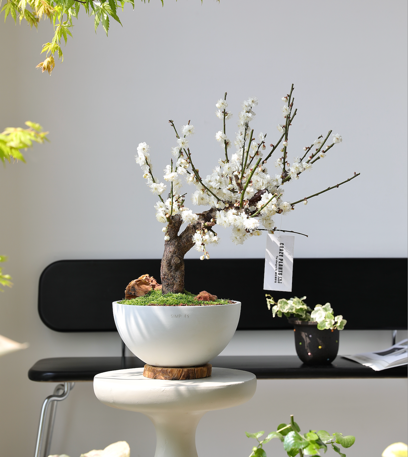 The Orb Sculptural Planter (White)