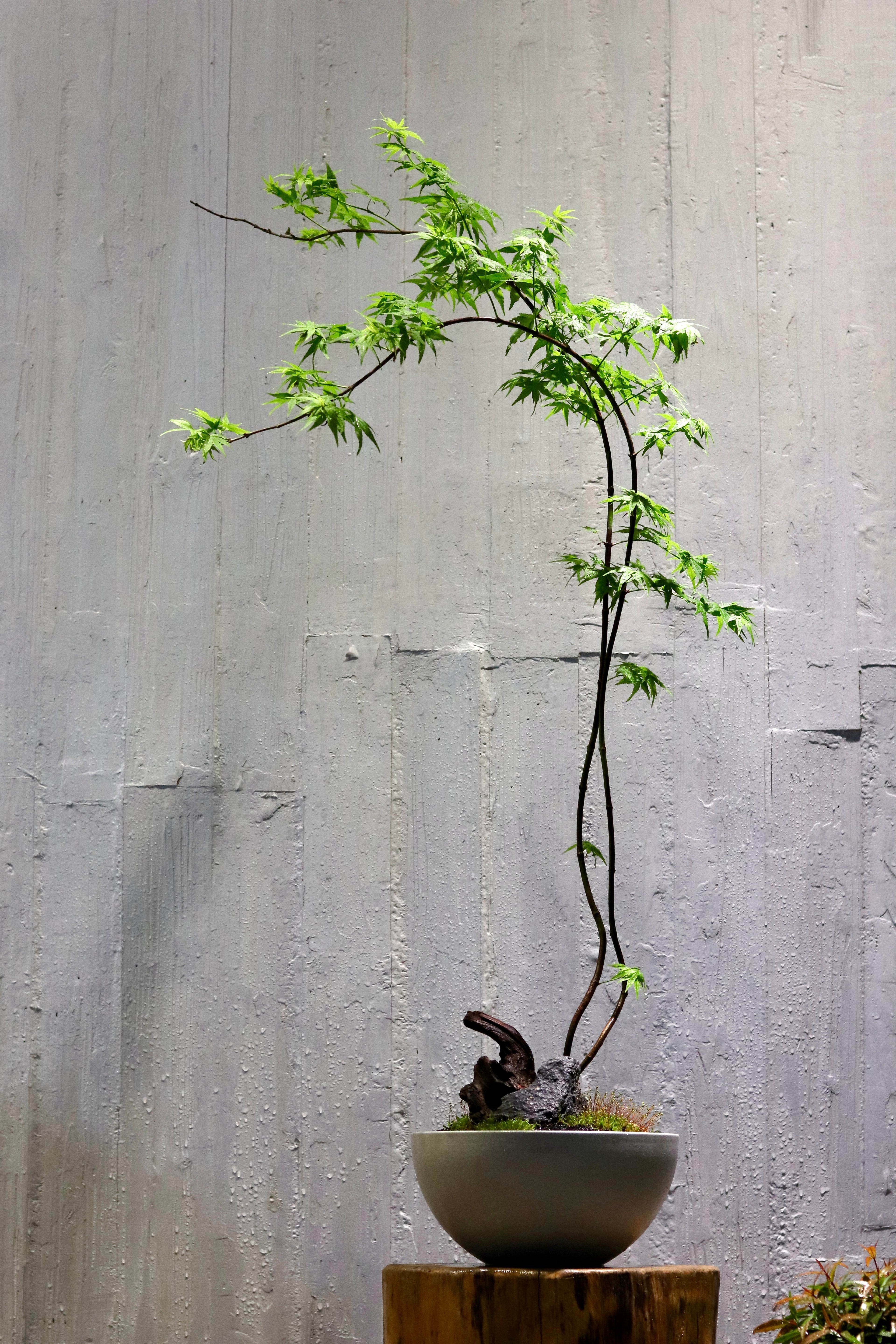 The Orb Sculptural Planter (Gray)