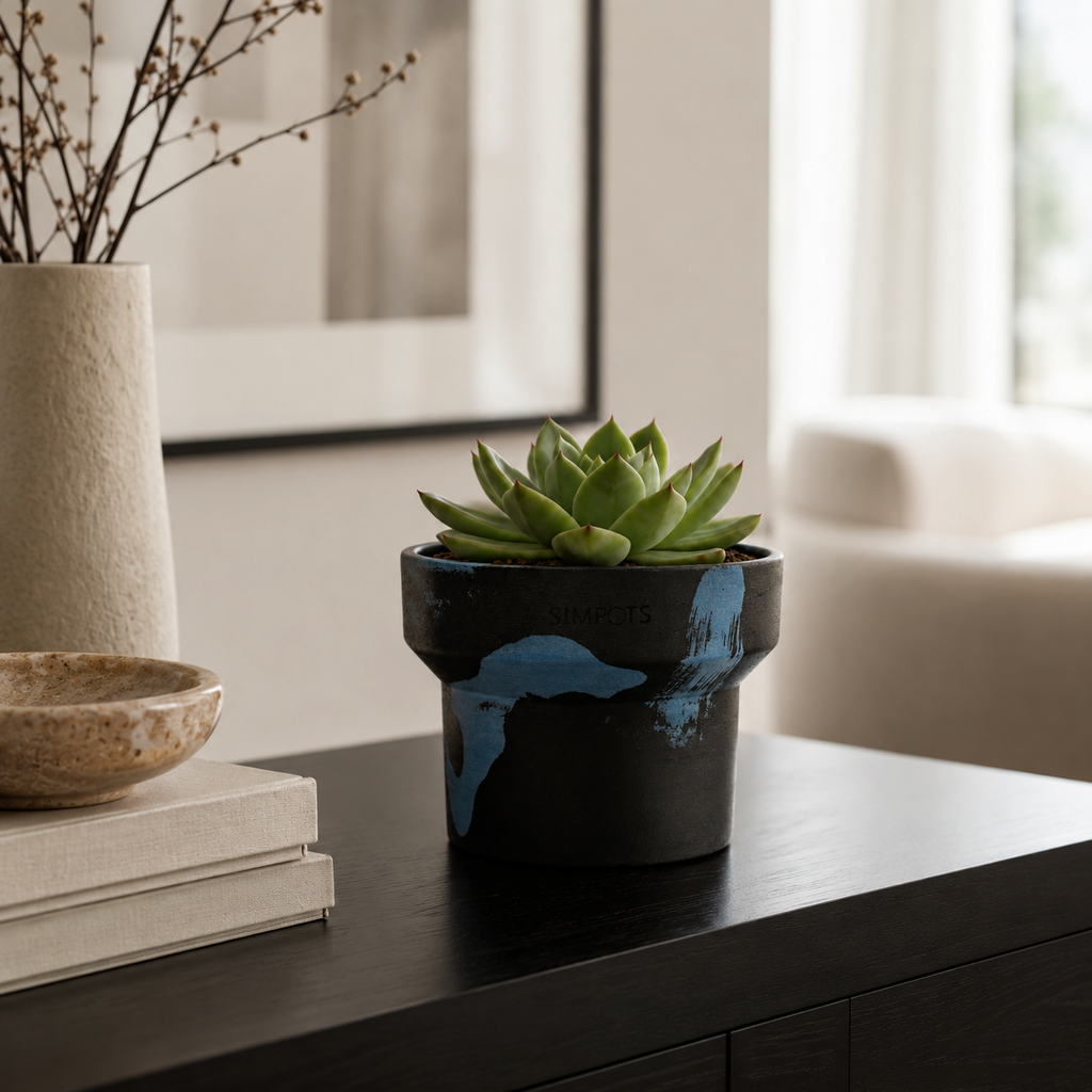 Flow Within: One-of-a-Kind Stone Planter (Large)