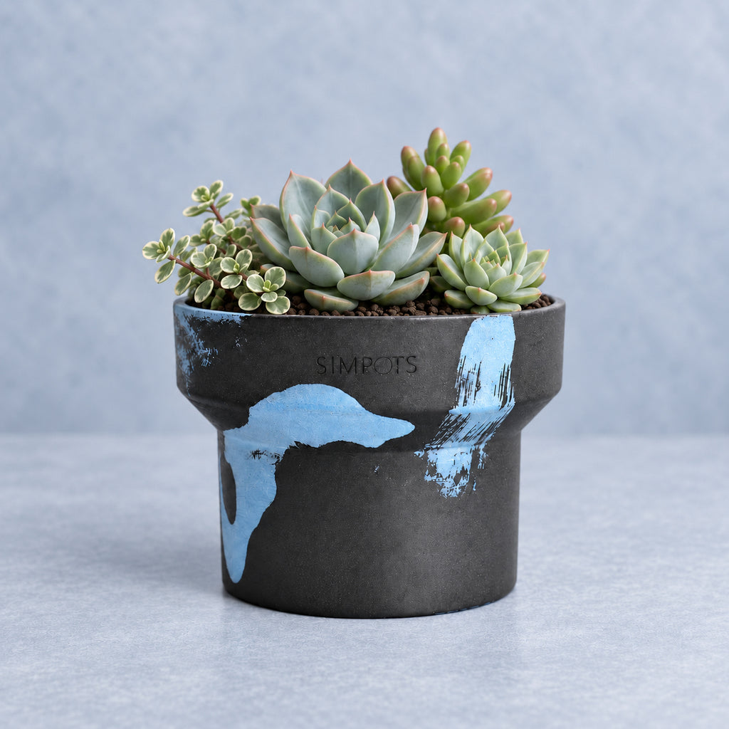 Flow Within: One-of-a-Kind Stone Planter (Large)