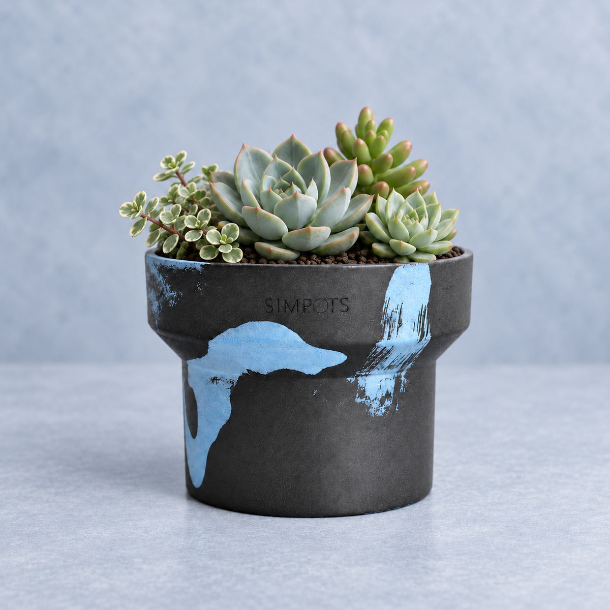 Flow Within: One-of-a-Kind Stone Planter (Large)