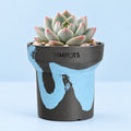 Flow Within: One-of-a-Kind Stone Planter (Small)