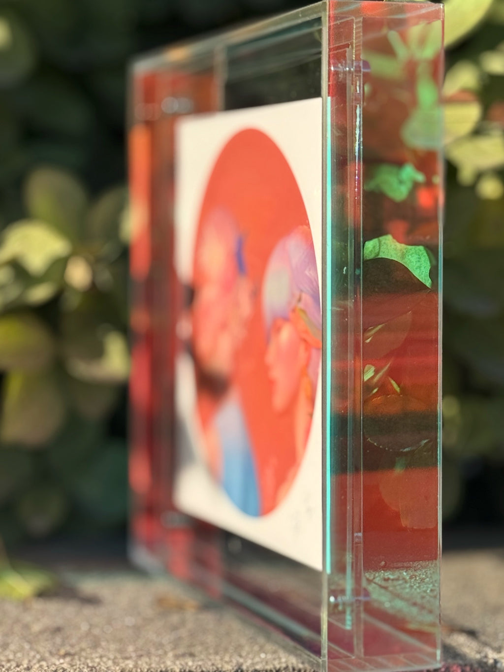 Floral Splendor Series-2