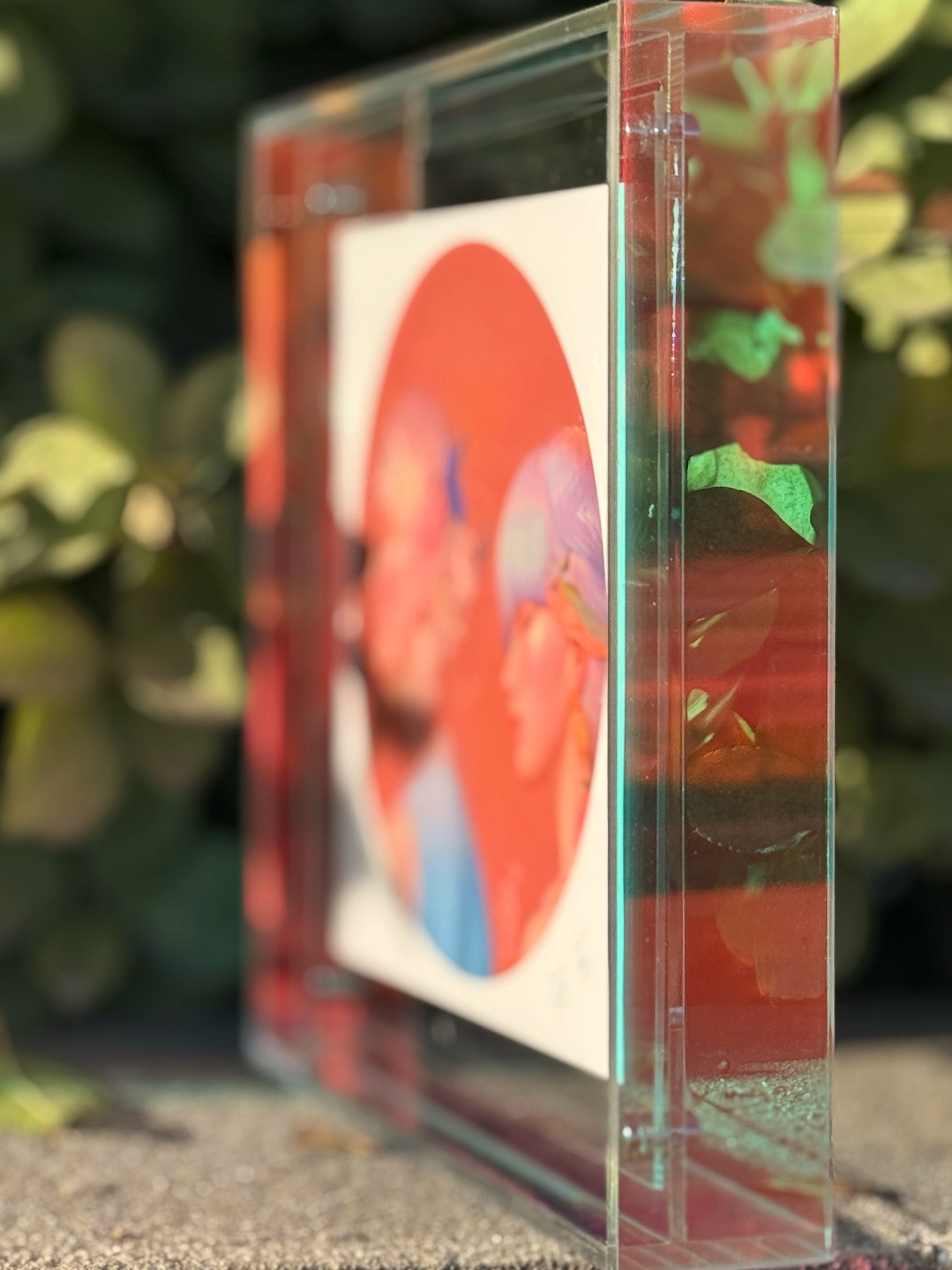 Floral Splendor Series-2