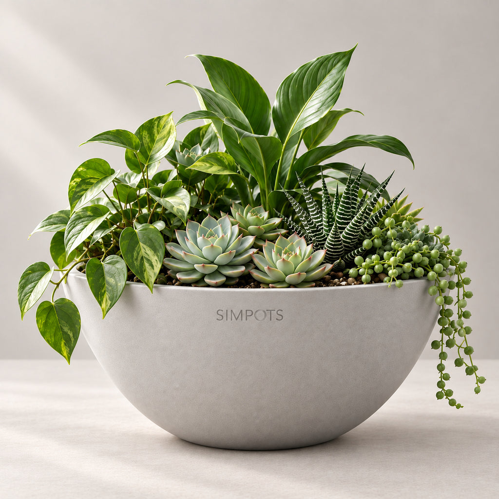 The Orb Sculptural Planter (Gray)