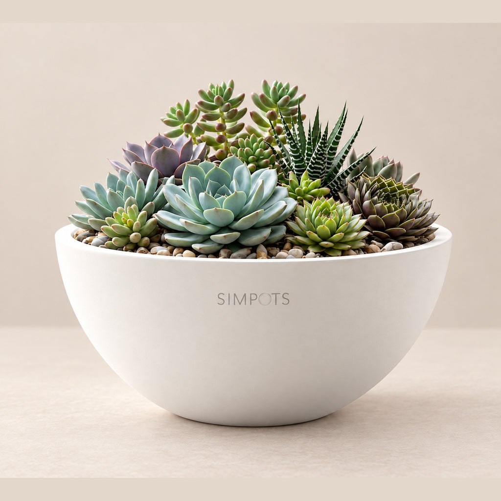The Orb Sculptural Planter (White)