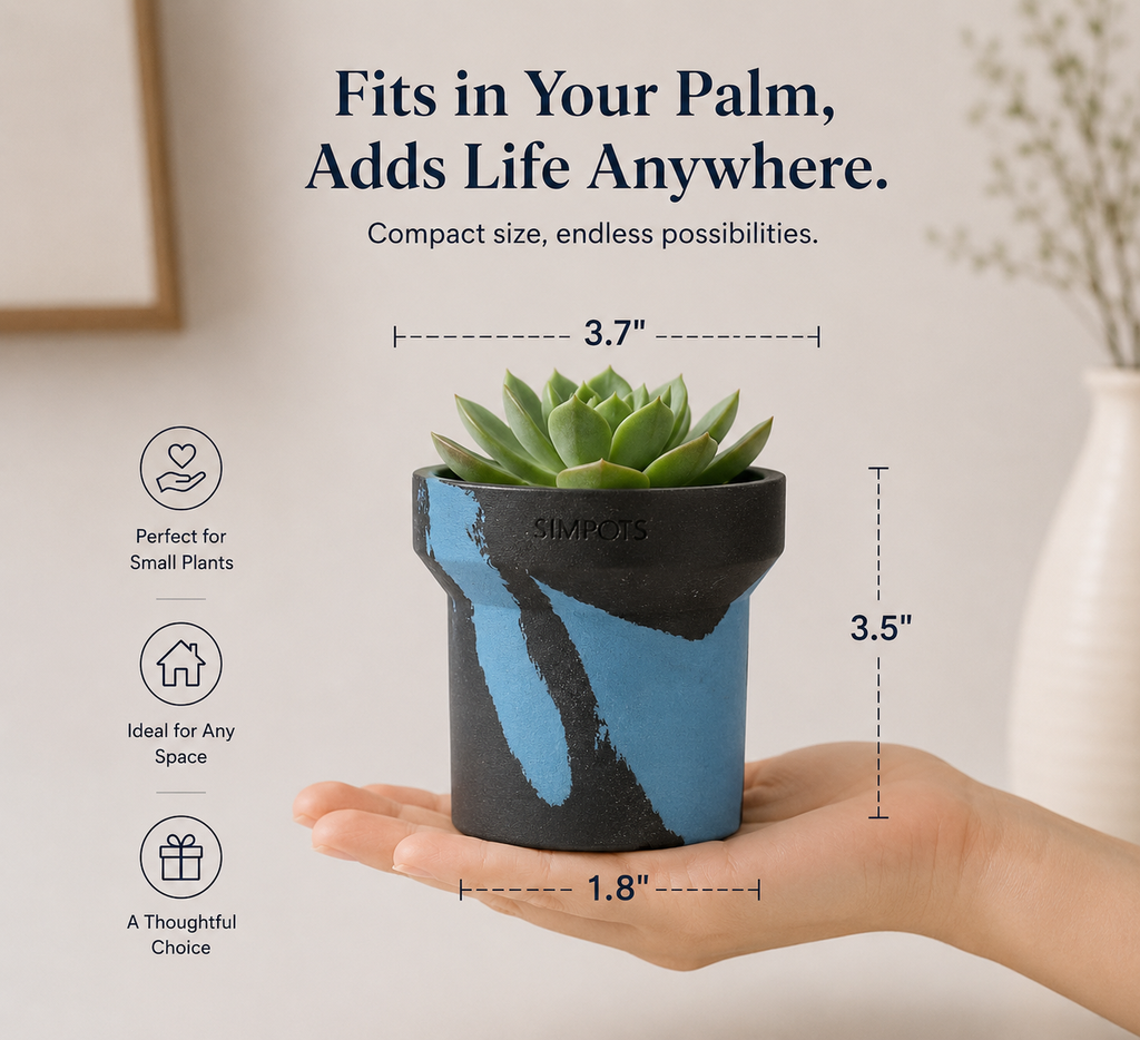 Flow Within: One-of-a-Kind Stone Planter (Small)